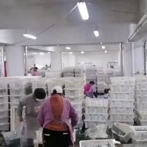 鲅鱼、马鲛鱼，燕尾鲅、大量有货定制包装，