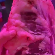 羊毽子肉，羊汤馆专用