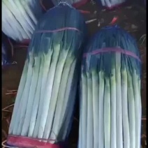铁杆大葱
