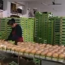 火参果