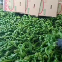 螺丝椒