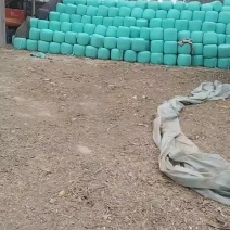 黄储圆包