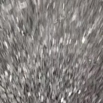 果木碳渣