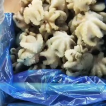 八爪鱼纯干八爪鱼