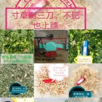 稻草，花生秧，青黄储