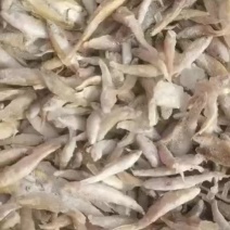 单冻麦穗