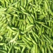 四川彭洲大白葫豆品质好是超市优选，市场首先。电商优选。