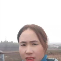 金银花花实心苗大量供应