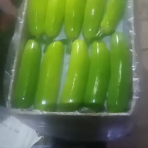 西葫芦