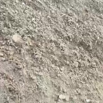 优质兔粪出货