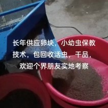 新泰市沈月华土元养殖有限公司