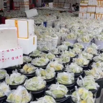对接全国电商，市场，价格美有需要的小伙伴们喜欢的砸单