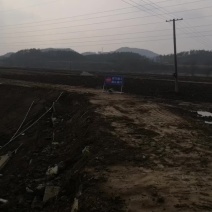 1000亩高标准农田旱地租赁