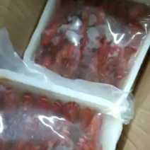 清水冻虾，价格美丽，货源充足