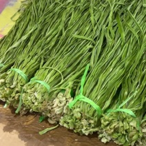 精品云南贡菜