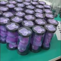 广东电子喷雾