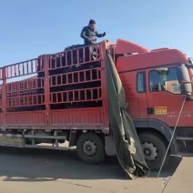 轮胎厂家批发各种规格型号的轮胎招代理商