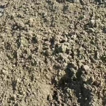 优质发酵兔粪出货