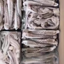 鱿鱼须，阿根廷二本足，做工精细，可加水，可纯料。常年有货