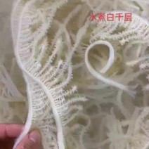水煮白千层毛肚，火锅自助餐经典菜品，丝丝爽滑，细腻美味