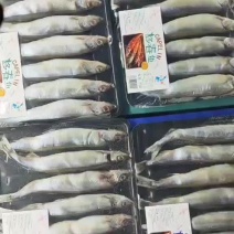 多春鱼原料母体公体