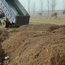 优质兔粪出货中