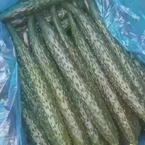 密刺黄瓜，质量保证，代发全国，需要的老板联系