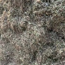 常年出售花生秧质量保障无霉变新草料量大从优