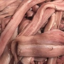 浙江青鳗鱼肉去骨去皮去内脏