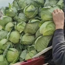 铁头