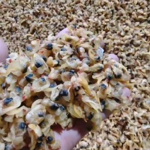黄蚬子干白菜价134-米7007--0416