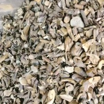 红刺藤断子