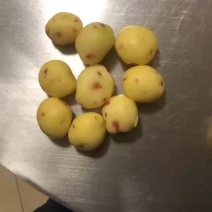 洗土豆