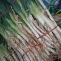 质量好，又粗又长
