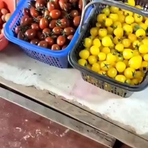 小番茄