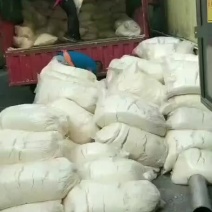 豆渣