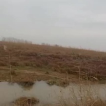 江西省有荒滩地8万亩
