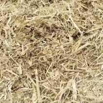 优质玉米秆价格美丽