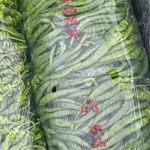 陇椒螺丝椒