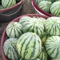 台农头茬无籽美都口感好。质量优深受全国消费者的喜爱。
