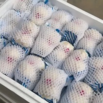 大皇50包一件20斤