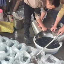 牛蛙牙签苗小圆头