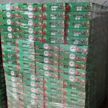 电白千禧，产地直发，供应社团、水果店、商超