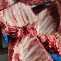 多肉小排，品质无需多言，**到货，实拍，现货30吨