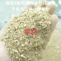 晾晒蘑菇菌渣大量供应一手货源……期待来电咨询