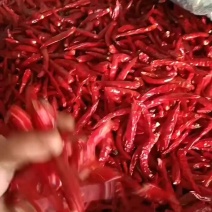 云南香辣朝天椒