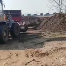 优质兔粪出货中