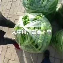 精品尖椒螺丝椒
