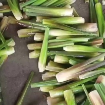 茭白常年现货供应，对接各大平台商超配送公司企业单位和个人