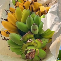 苹果香蕉一件代发关注各大电商社区平台咨询